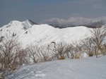 070304-ymg-002.jpg