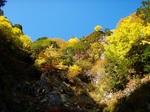 10.11.3hinotani.jpg