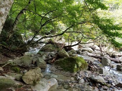 20171009_082921.jpg