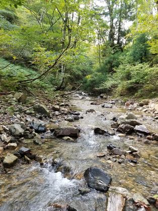20171009_153556.jpg