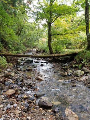 20171009_154103.jpg