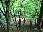 ゲロク谷左俣遡行 015.jpg