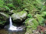 小滝 033.jpg