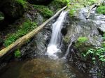 倒木のかかる4b滝 035.jpg