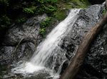 4b滝039.jpg