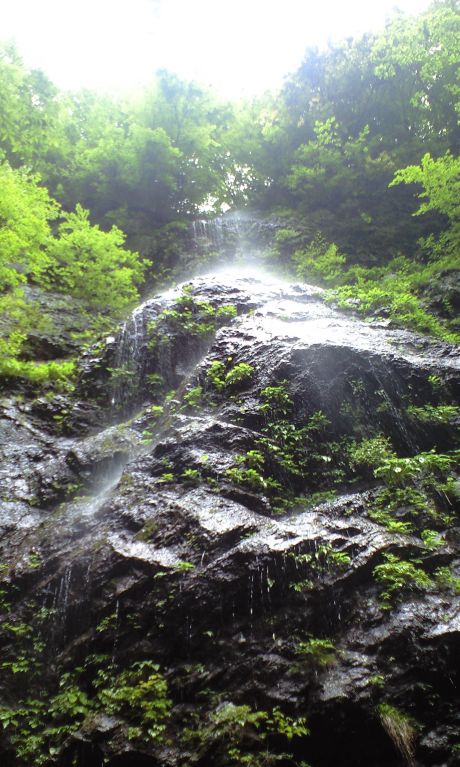oonishi-2008-kotako.jpg
