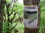 芦生 018.jpg