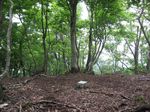遠敷端の高の頂上