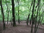 見た目はいいでしょう。実は・・・