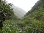 奥美濃、高丸山 220.jpg