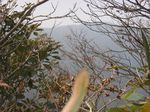 木影越しの三周ヶ岳254.jpg