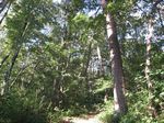 小津権現山 004.jpg