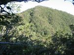 あれが小津権現山 か?014.jpg