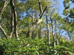 小津権現山 027.jpg