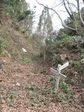 駒倉峠