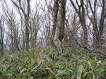 高尾山山頂