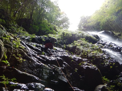 DSCN2975.jpg