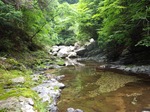 上葛川0425.jpg