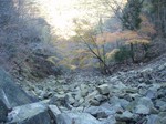 沢写真2010.11 020.jpg