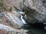 沢写真2010.11 024.jpg