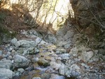 沢写真2010.11 034.jpg