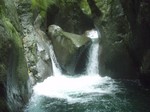 沢写真2010 208.jpg