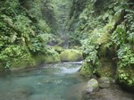 沢写真2010 228.jpg