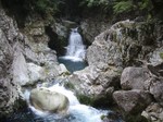 沢写真2011,04 061.jpg