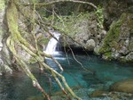 沢写真2011,04 062.jpg