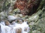 沢写真2011,04 066.jpg