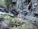 沢写真2011,04 088.jpg