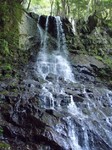 沢写真2011,04 089.jpg