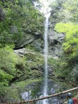 沢写真2011,04 099.jpg
