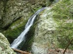 沢写真2011,04 108.jpg