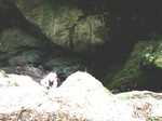 沢写真2011,04 111.jpg