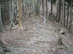 沢写真2011,04 124.jpg