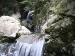 沢写真2011,05 005.jpg