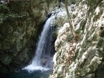 沢写真2011,05 008.jpg