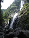 沢写真2011,05 013.jpg