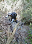 H20.04.06 金剛山 高天谷12.jpg