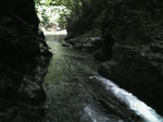 H20.06.14N〜15 笹の瀬川08.jpg