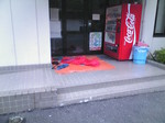 H20.08.09N 流中ノ川01.jpg