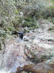 H20.11.23 金剛山 石ブテ東谷03.jpg