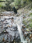 H20.11.23 金剛山 石ブテ東谷08.jpg