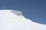 IMG_5384.jpg