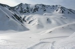 IMG_5425.jpg