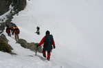 IMG_5442.jpg