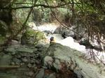 IMG_8249-1.jpeg