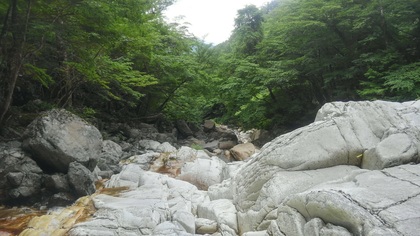 KIMG2571.jpg