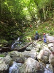 RIMG0253.jpg